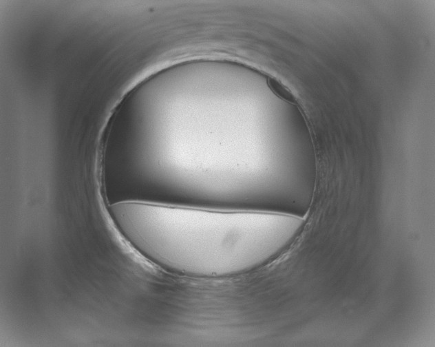X0000073901526200608110922