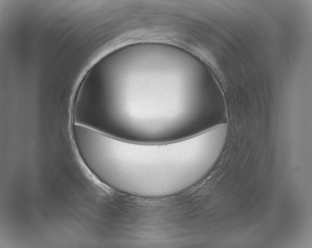 X0000073901528200608110922