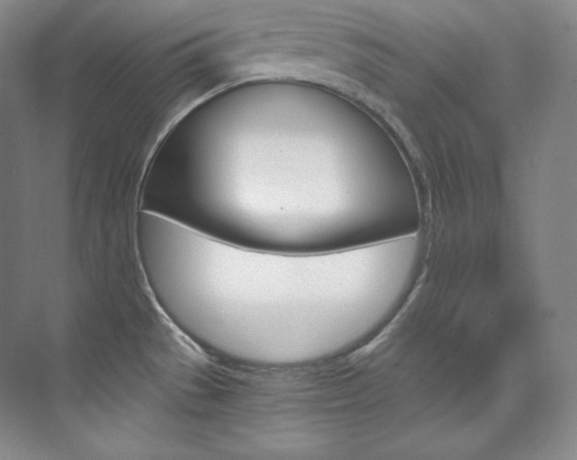 X0000073901529200608110922