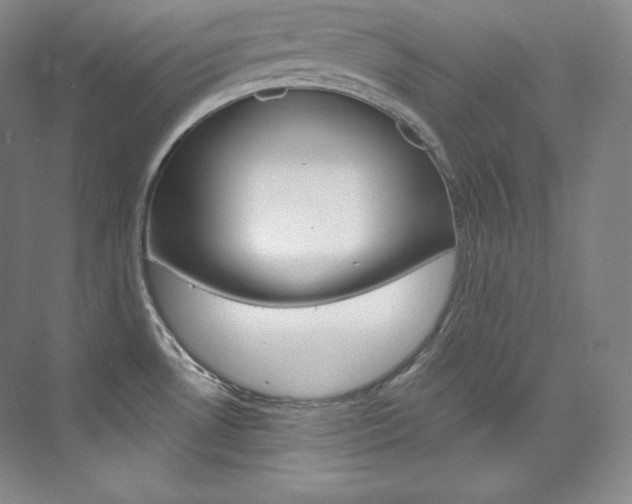 X0000073901530200608110922