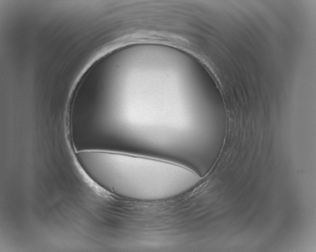 X0000073901531200608110922