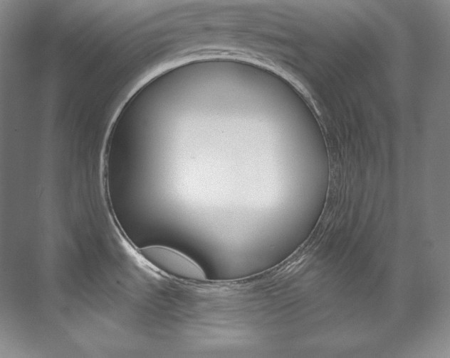 X0000073901535200608110922