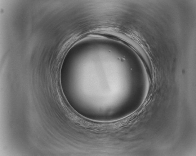 X0000073900001200608111142