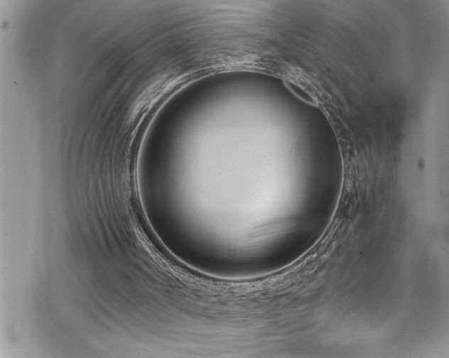 X0000073900002200608111142