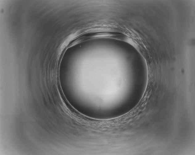 X0000073900003200608111142