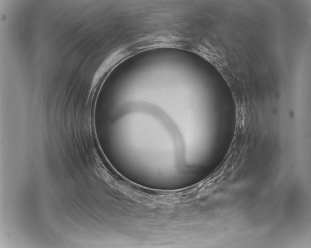 X0000073900004200608111142