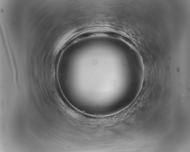 X0000073900005200608111142