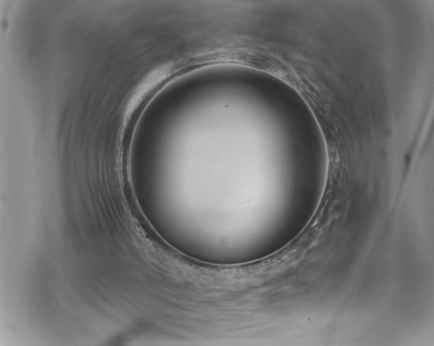 X0000073900006200608111142