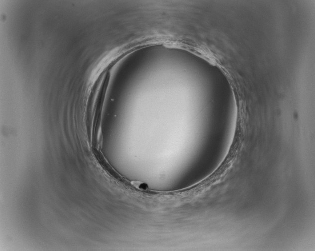 X0000073900007200608111142