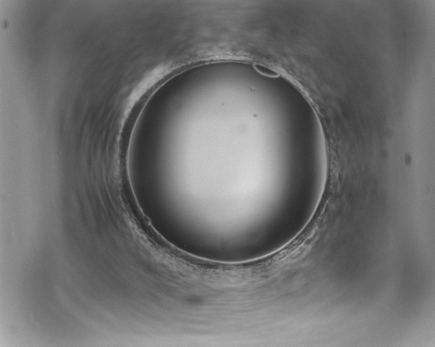 X0000073900008200608111142