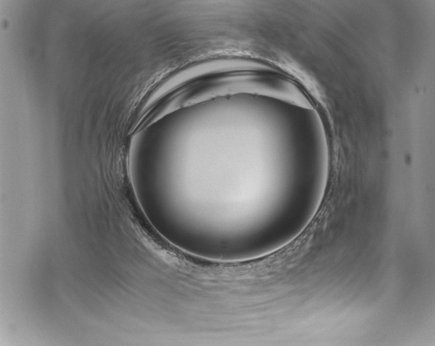 X0000073900009200608111142