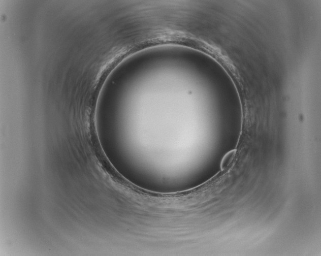 X0000073900010200608111141