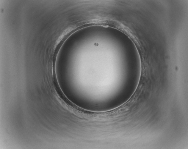 X0000073900011200608111141