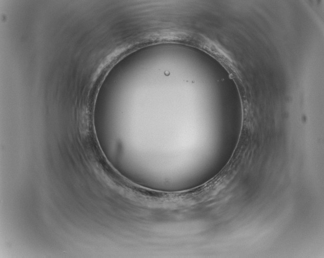 X0000073900012200608111141