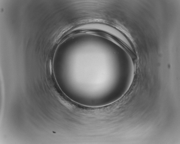 X0000073900013200608111141