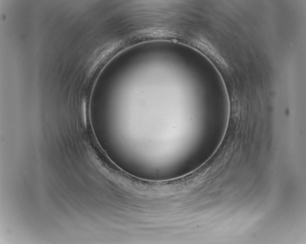 X0000073900014200608111141