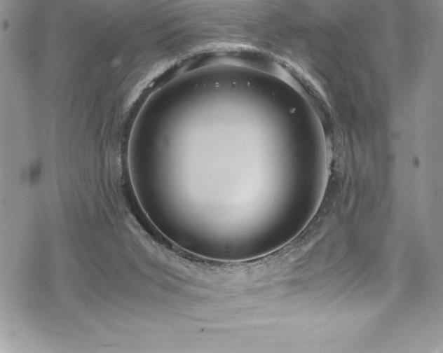 X0000073900015200608111141