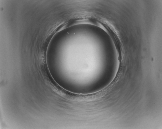 X0000073900017200608111141