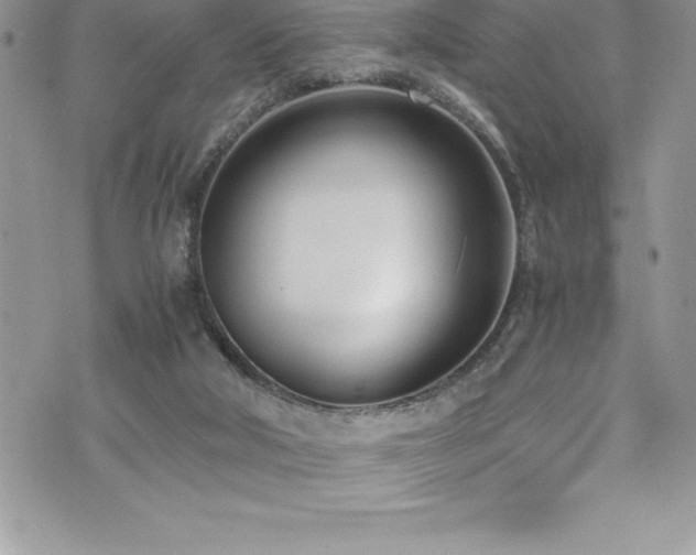 X0000073900018200608111141