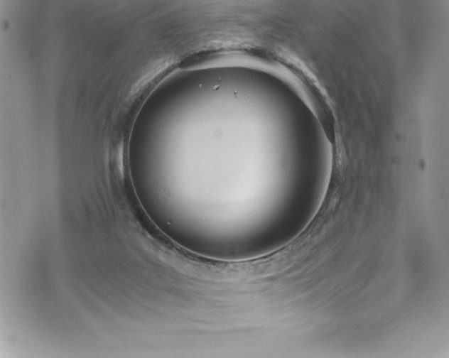 X0000073900019200608111141