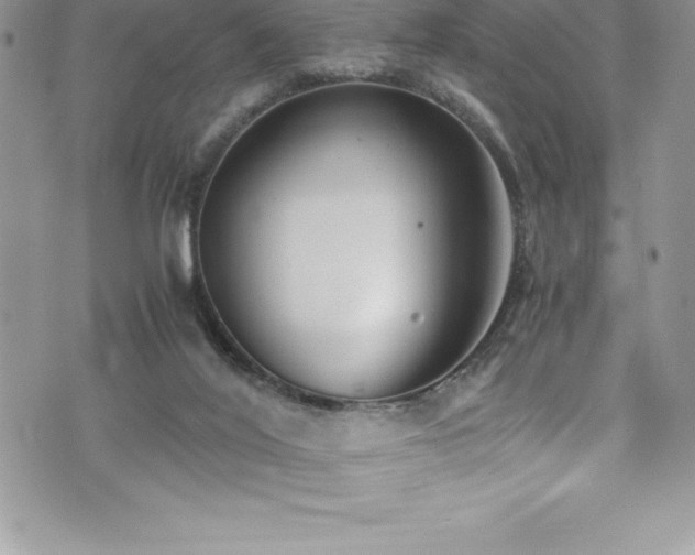 X0000073900020200608111141