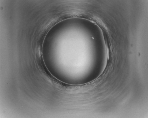 X0000073900021200608111141