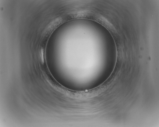 X0000073900022200608111141