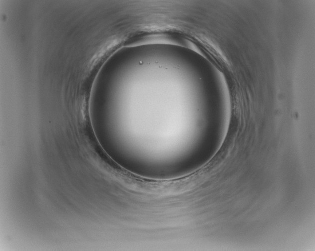 X0000073900023200608111141