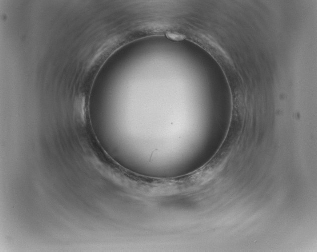 X0000073900024200608111141