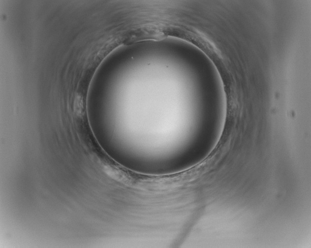 X0000073900025200608111141