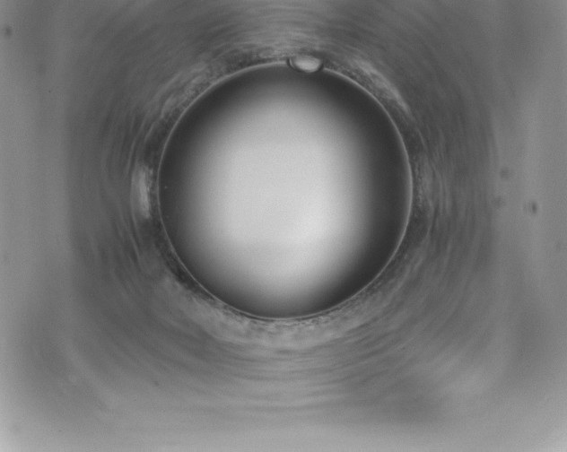 X0000073900026200608111141