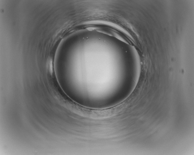 X0000073900027200608111141