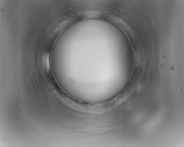 X0000073900028200608111141