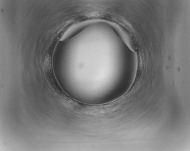 X0000073900029200608111141