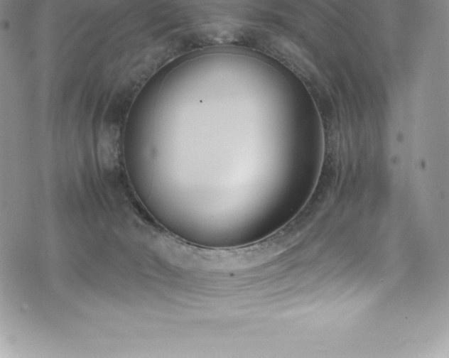 X0000073900030200608111141