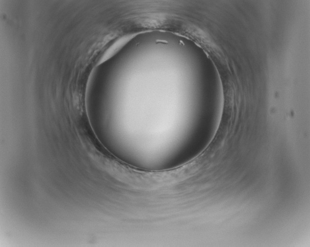 X0000073900031200608111141