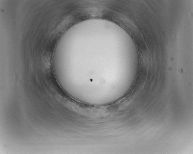 X0000073900032200608111141