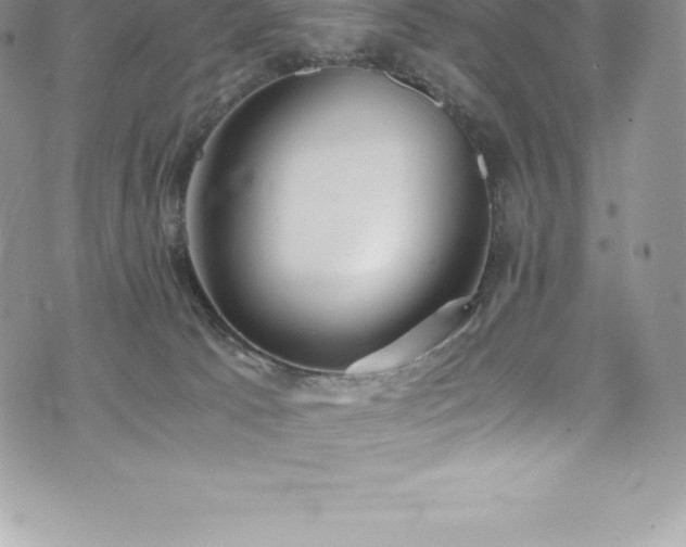 X0000073900033200608111141