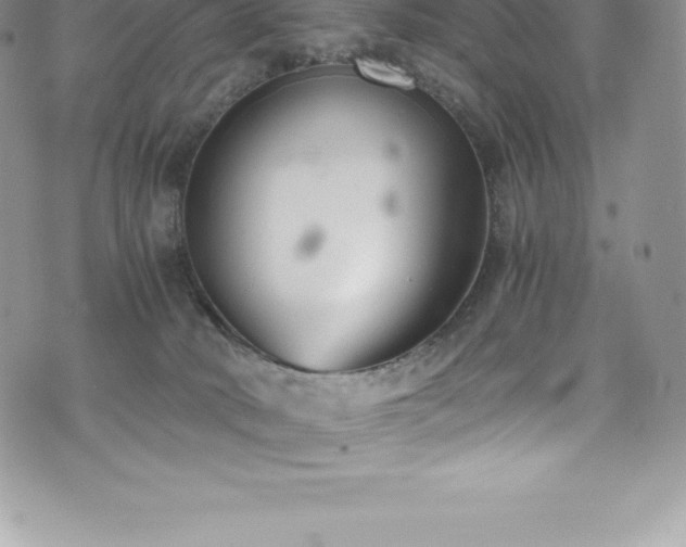 X0000073900034200608111141