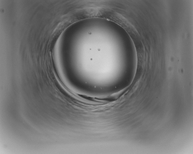 X0000073900035200608111141