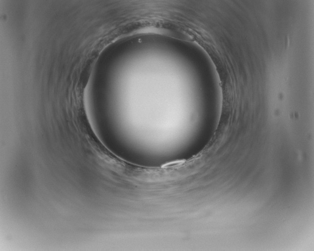 X0000073900037200608111141