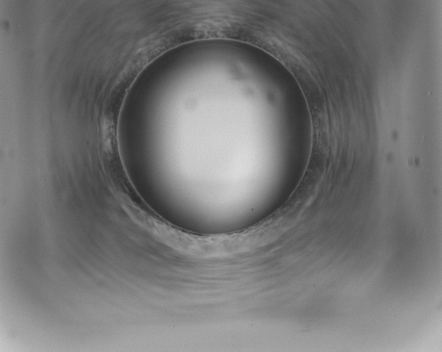 X0000073900038200608111141