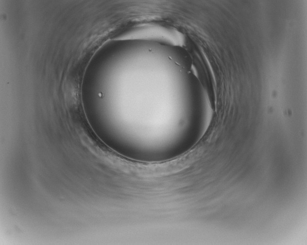 X0000073900039200608111141