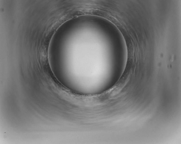 X0000073900040200608111141