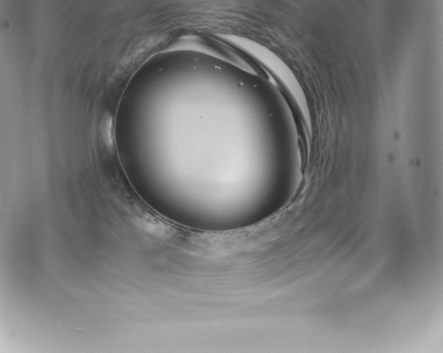 X0000073900041200608111141