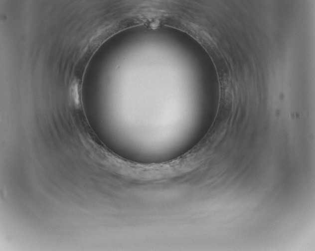 X0000073900042200608111141