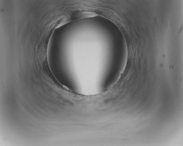 X0000073900043200608111141