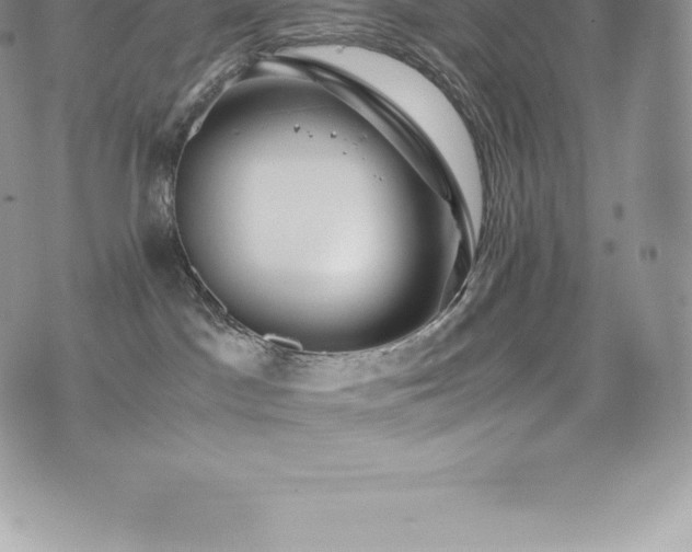 X0000073900045200608111141