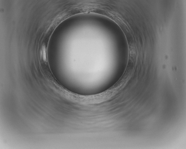 X0000073900046200608111141