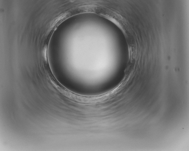 X0000073900047200608111141